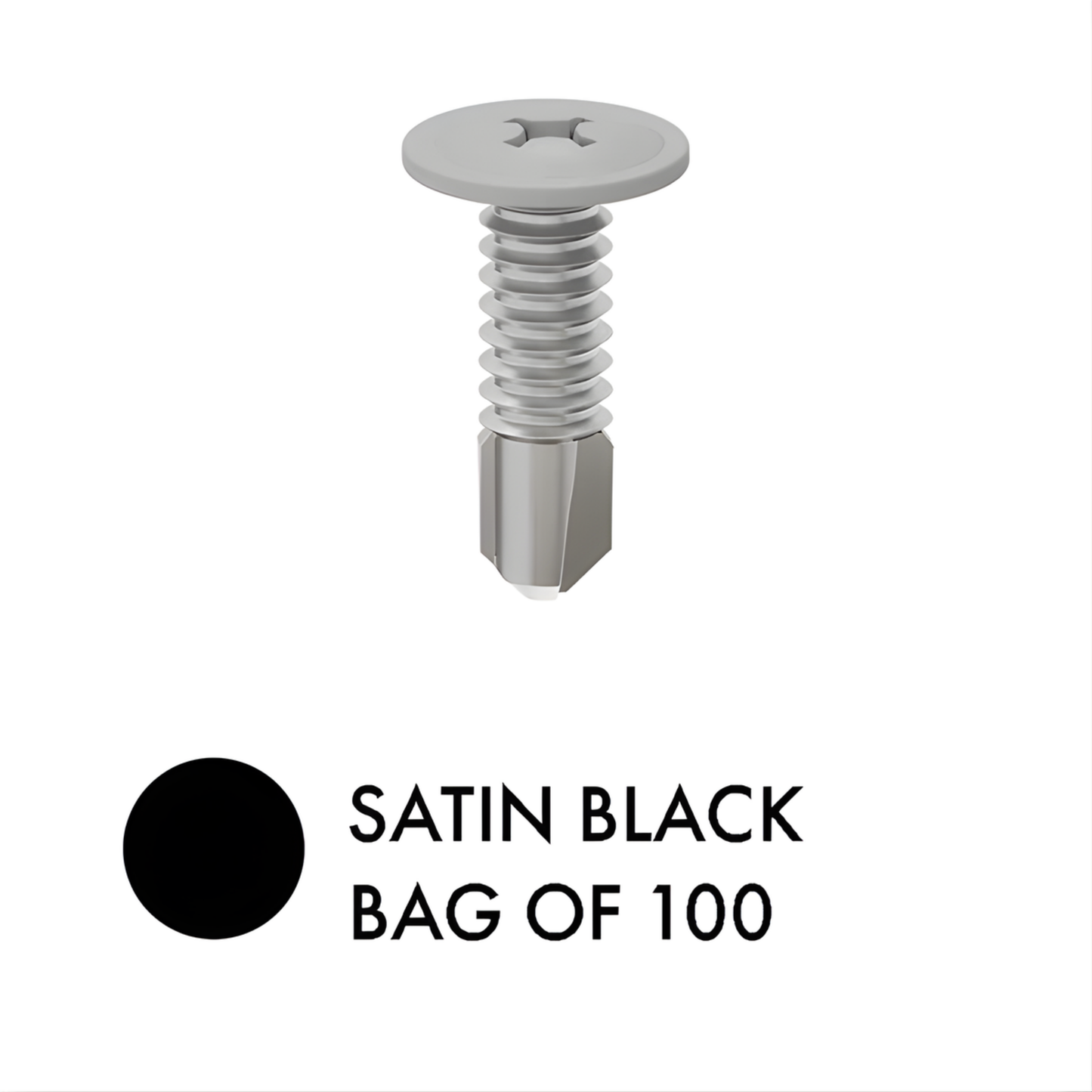 Bag of 100 - SCREWS