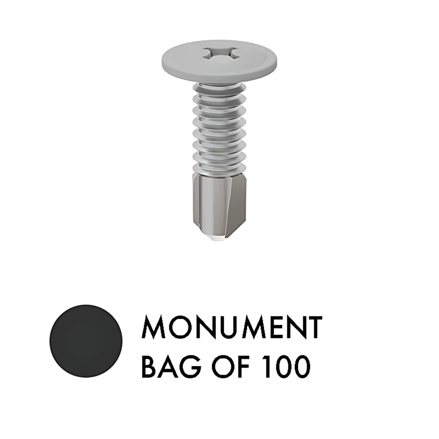 Bag of 100 - SCREWS