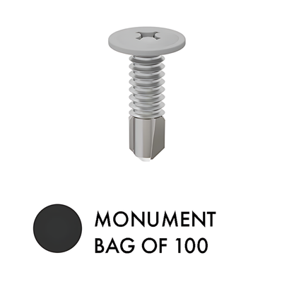 Bag of 100 - SCREWS