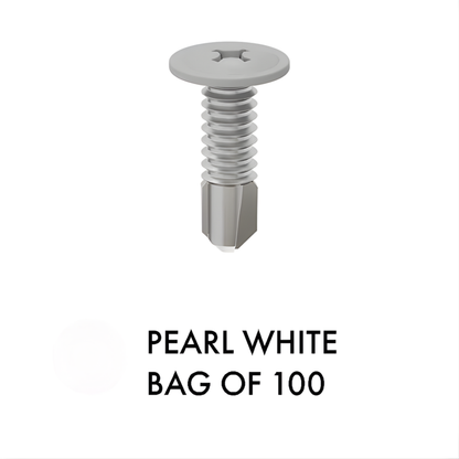 Bag of 100 - SCREWS