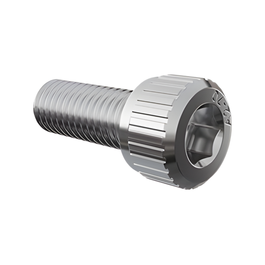 Hex Socket Capscrew - M8 x 20mm SS304