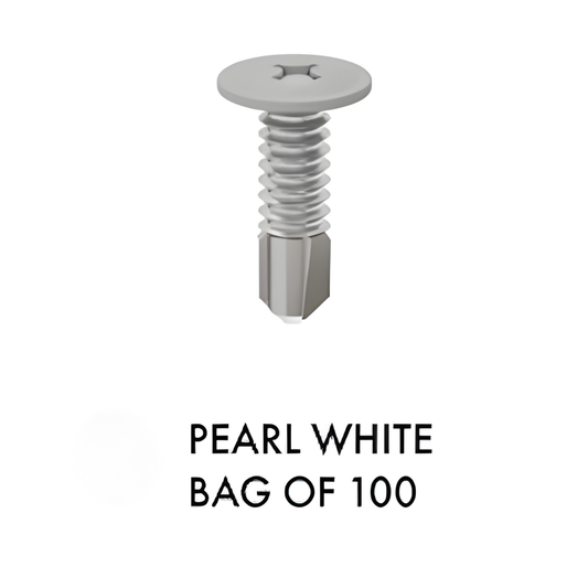 Screw - 10g x 16mm - White - SS304 - 100 Pack