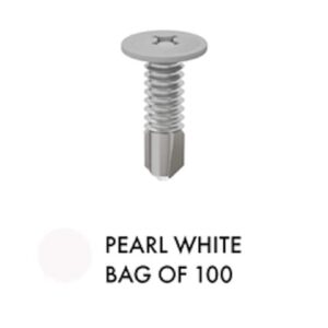 Screw - 10g x 16mm - White - SS304 - 100 Pack